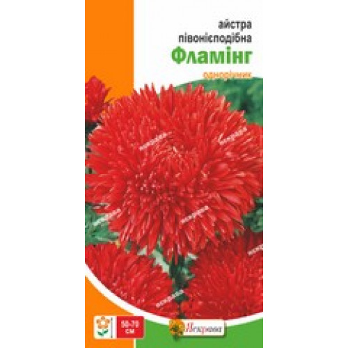 Семена Яскрава астра пионовидная Фламинг