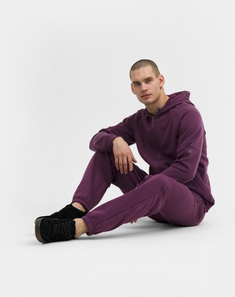 Джемпер 4F SWEATSHIRT M0812 4FAW22TSWSM0812-60S р. XL фіолетовий