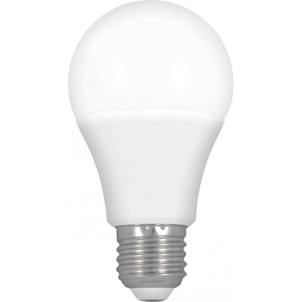 Лампа світлодіодна Hopfen 10 Вт A60 матова E27 220 В 4200 К 