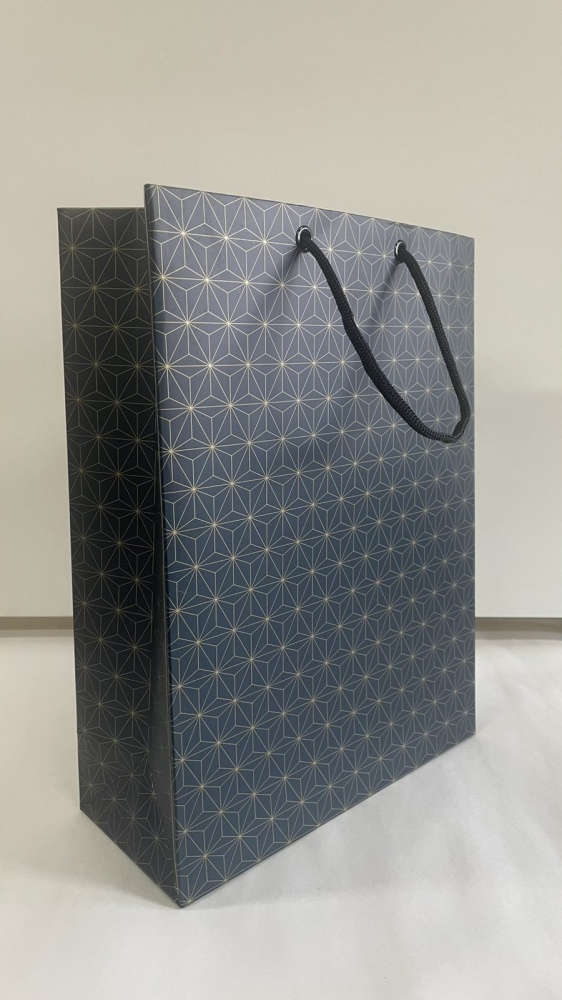 Пакет Пакет L, вертикальний, 24*32*10, картон, колір в асортименті