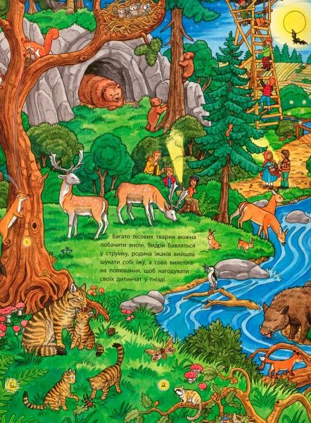 Книга Конопленко И. «Мій великий віммельбух Тварини» 978-966-74-8556-6