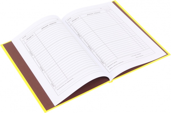 Щоденник шкільний SMILE В5 40 аркушів тверда обкладинка KIDS Line ZiBi