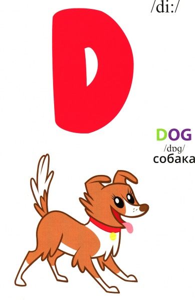 Книга «Книга Англійська абетка.ТМ My Little Pony»