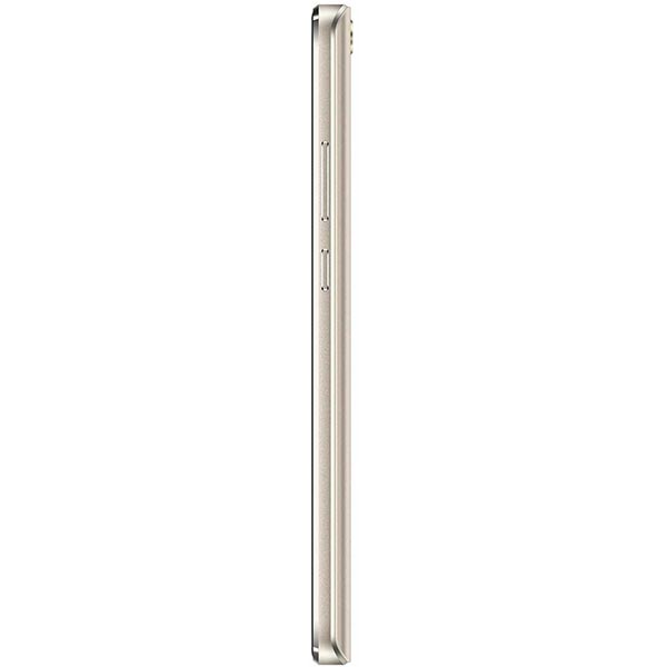 Смартфон Assistant AS-5412 gold