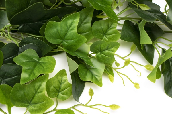 Гілочка декоративна з листям 105 см зелена 631819