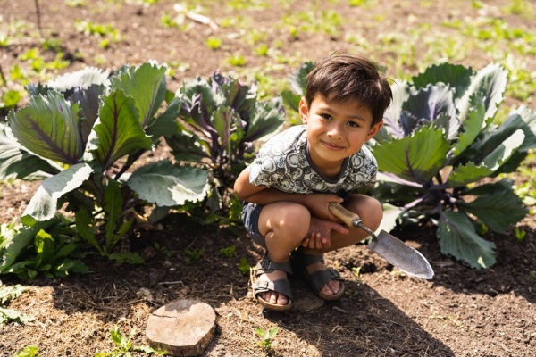Футболка для хлопчиків Koko Noko р.134 світло-блакитний T46874-37 