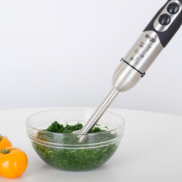 Блендер Ergo EHB-5500