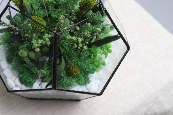 Флораріум Floretta Весняна свіжість (з живими стабілізованими квітами 24x24 см)