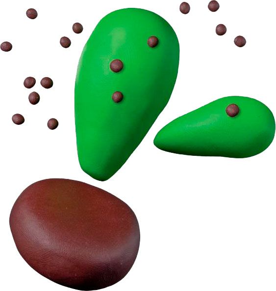 Набір пластики Fimo Кактус 2 кольори 42 г 