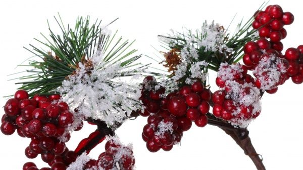 Декорація новорічна Віночок хвойний з ягодами 15 см EPI-HS-35791 