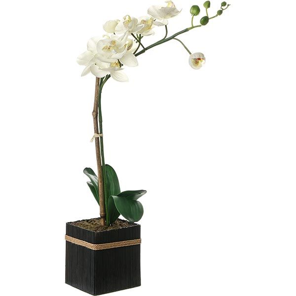 Искусственное растение Орхидея белая 53 см