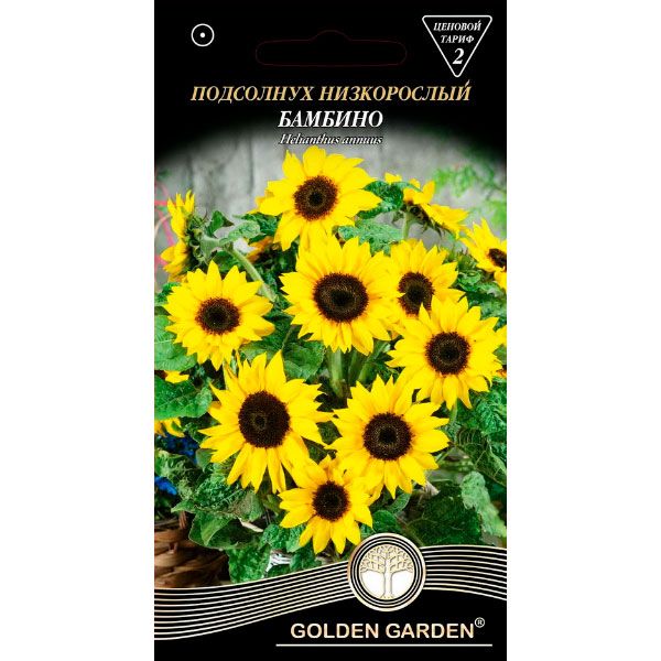 Семена Golden Garden подсолнух низкорослый Бамбино 1 г