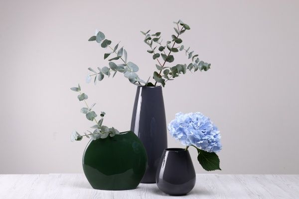 Ваза для квітів Ease антрацит 25x6 см ASA