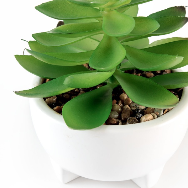 Растение декоративное DH-FLOWERS-14 M GREEN/WHITE MVM