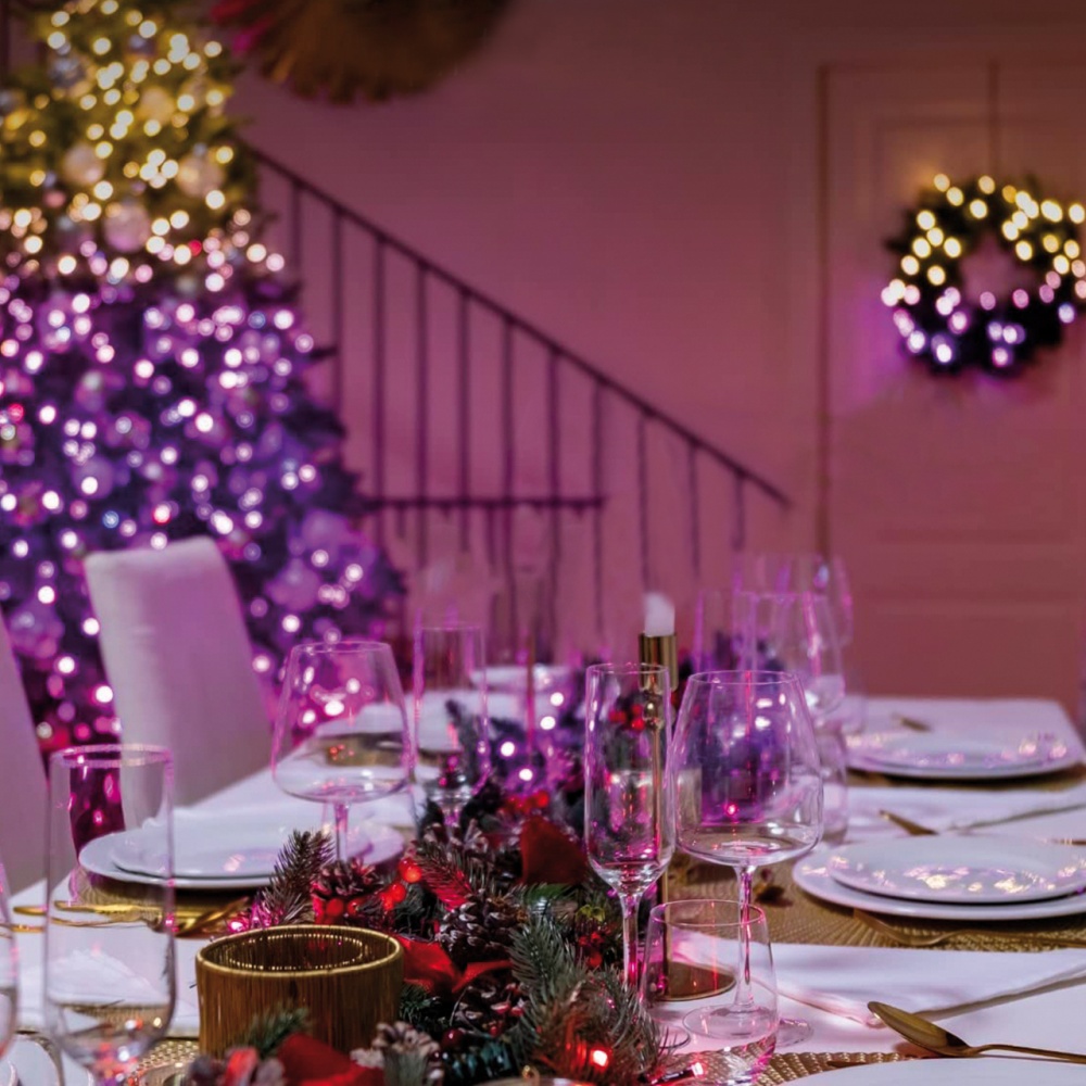 Гирлянда светодиодная Eurolamp 10 Вт белый LED-GL-50/5/RGB