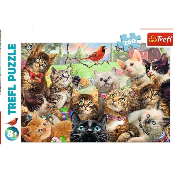 Пазли Trefl Кошенята 260 елементів 6333671