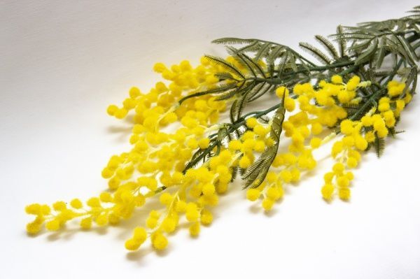 Цветок искусственный Мимоза 3 ветви 88 см желтая Девилон