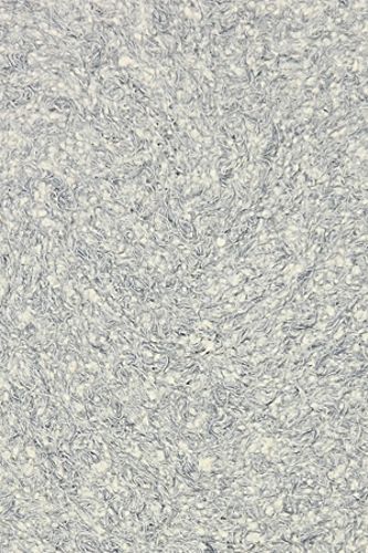 Рідкі шпалери Bioplast 875 1 кг 