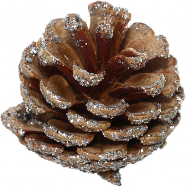 Набор шишек натуральные серебристые E5156411-7S  