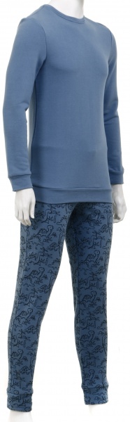 Костюм домашний мужской Flis clothes Динозавры р. XL серый