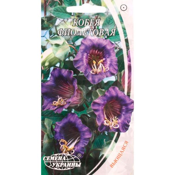 Семена Украины Кобея фиолетовая 0.4 г