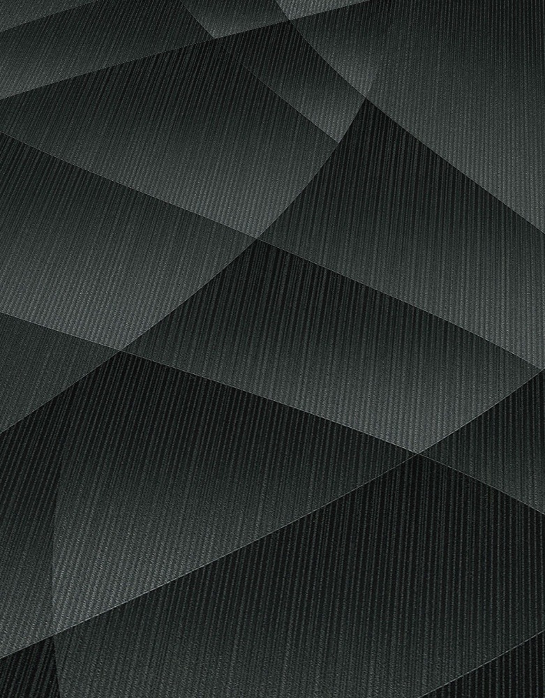 Обои виниловые горячего тиснения Erismann Fashion For Walls 12184-15 1,06x10,05 м