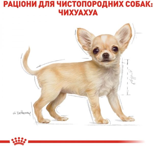 Корм Royal Canin для цуценят CHIHUAHUA PUPPY (Чихуахуа Паппі), 1,5 кг