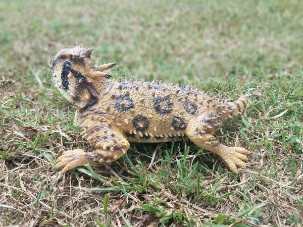 Игрушка Lanka Novelties Ящерица рогатая 30 см 21549 