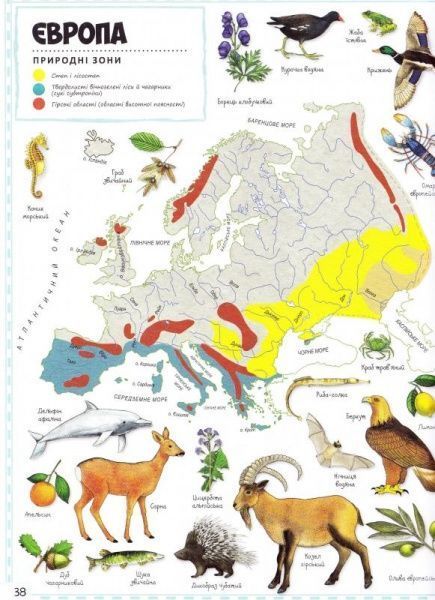 Атлас Мария Жученко «Географический атлас мира (укр)» 978-617-690-440-3