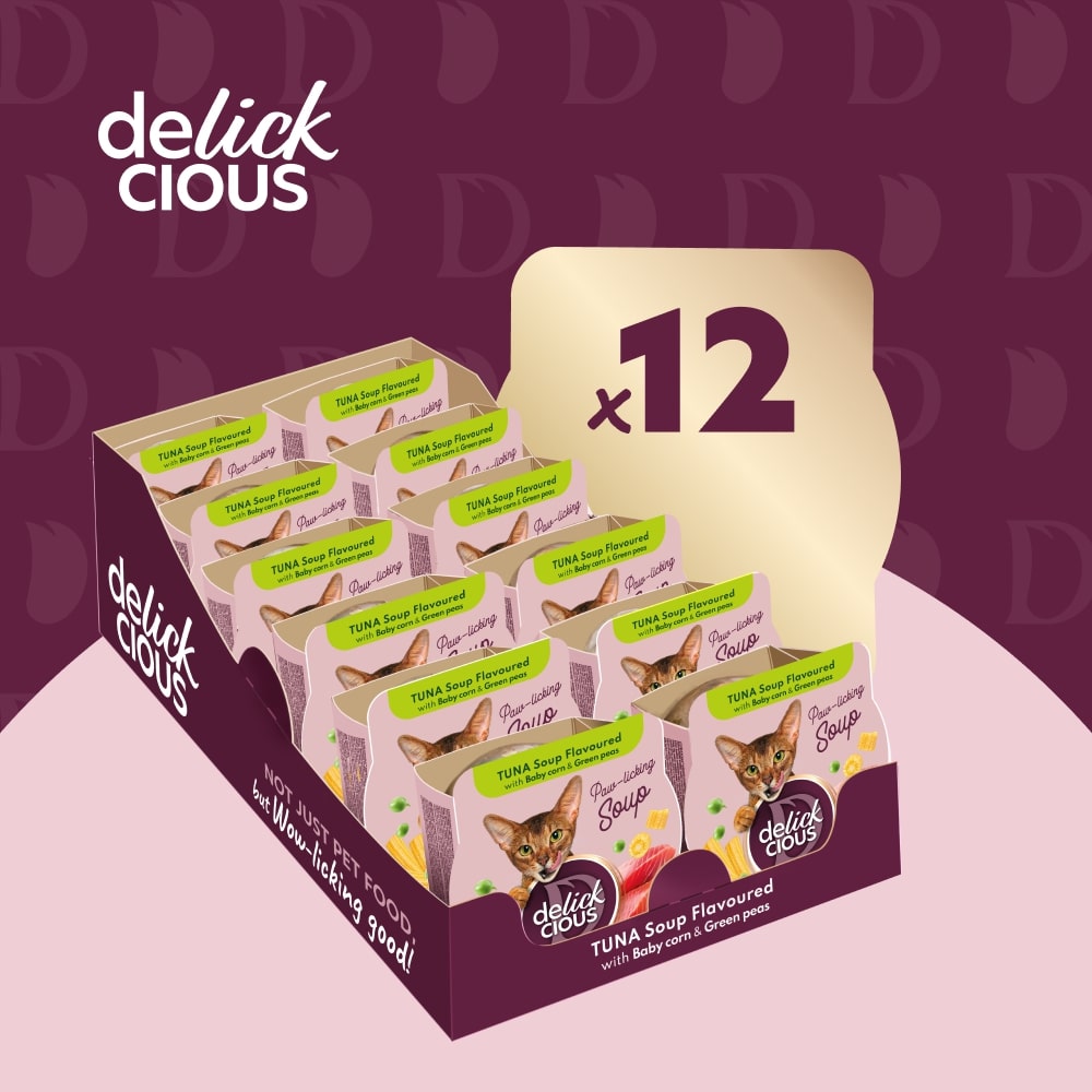 DELICKCIOUS суп з тунця з додаванням мінікукурудзи та зеленого горошку 80 г