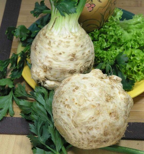 Семена Професійне насіння сельдерей корневой Президент 0,03г (4823058205946)