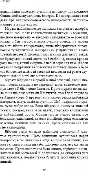 Книга «Темний ліс» 978-617-7561-08-7