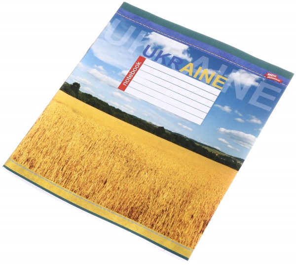 Тетрадь школьная 24 листа в линейку в ассортименте Мечты сбываются