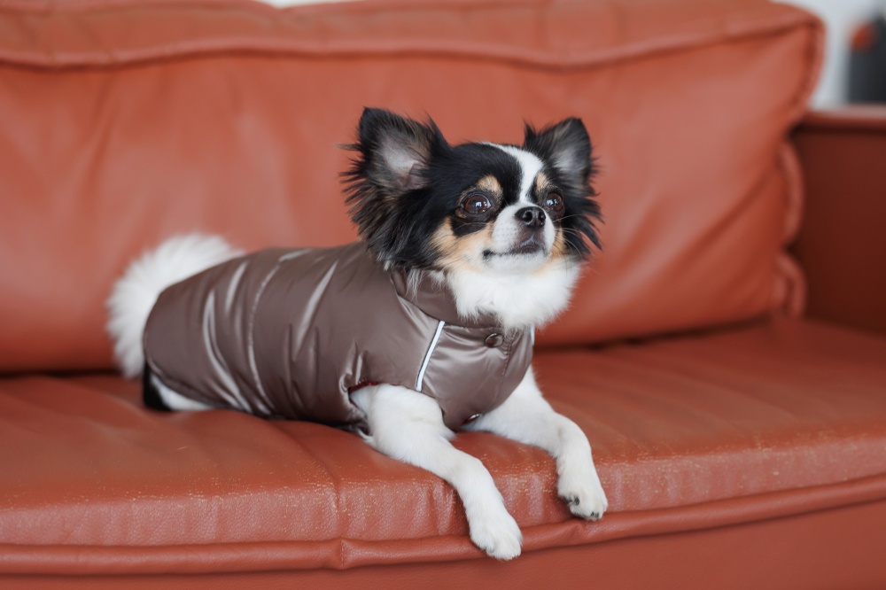 Жилет Pet Fashion Hardy ХS-2 коричневый