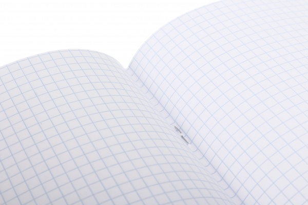 Тетрадь школьная Dinosaur 12 листов клетка Nota Bene