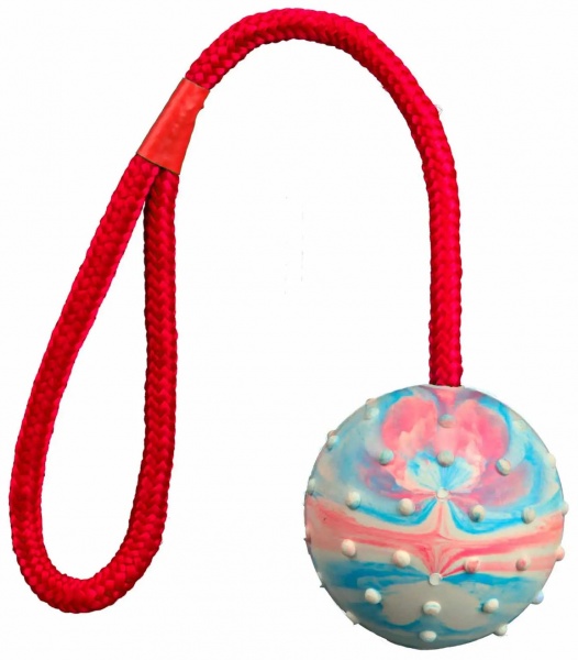 Игрушка Trixie для собак Мяч для дрессировки 6 см/30 см 3305