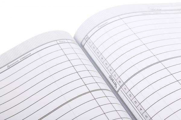 Дневник школьный в твердом переплете серия Kitten Nota Bene