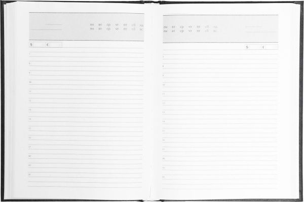 Дневник Expert A5 288 л черный Buromax