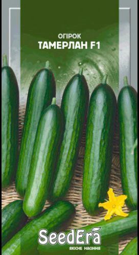 Семена Seedera огурец Тамерлан F1 10 шт.