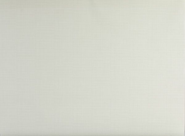 Шпалери вінілові на флізеліновій основі RASCH Sel. DB 918991 1,06x10,05 м 