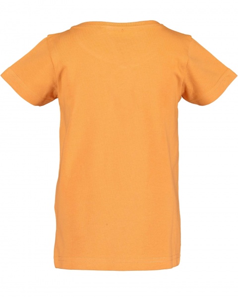 Футболка для девочек Blue Seven р.98 оранжевый 702235 X_271_р.98 