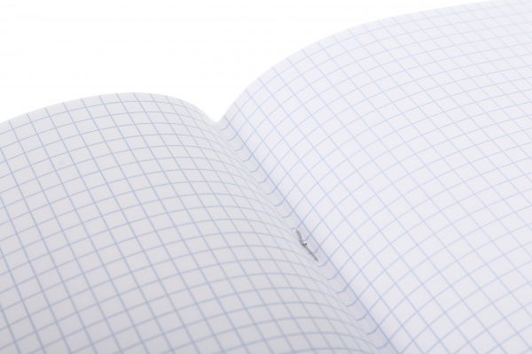 Тетрадь школьная Kitten 18 листов линия Nota Bene