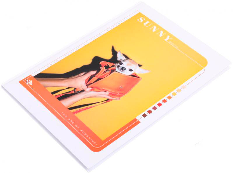 Блокнот А4 80 аркушів в асортименті Поділля