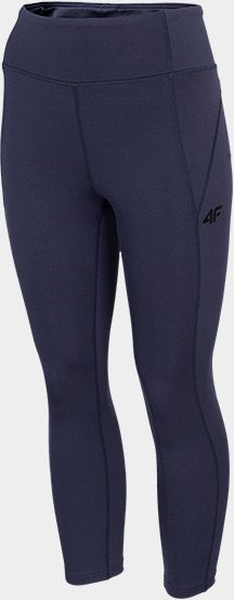 Лосины 4F NOSD4-SPDF312-31S L синий