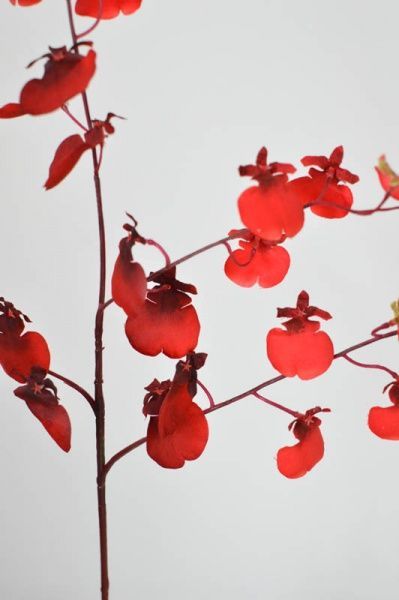 Рослина штучна Квітка штучна Орхідея червоний