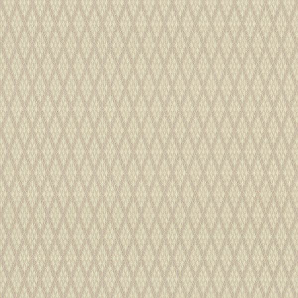 Шпалери Vinil Дуглас ТФШ5-1342 