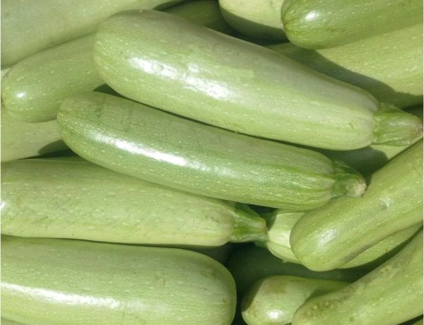 Насіння Садовий Світ кабачок Аспірант 3г