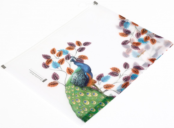 Папка с пластиковой застежкой А4 P0085 в ассортименте Bourgeois 