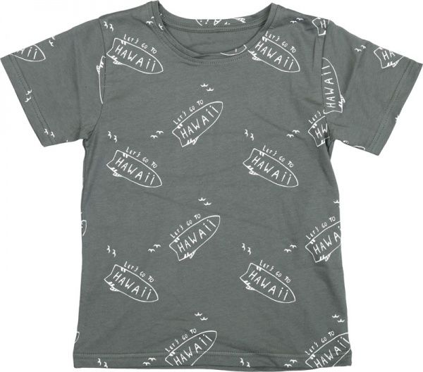 Футболка для хлопчиків Фламінго р.122 хакі 864-124 