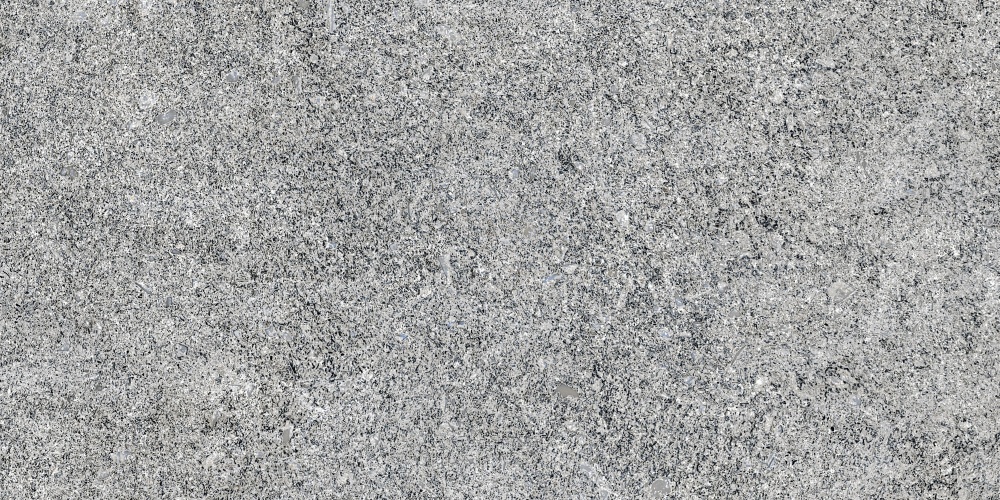 Плитка Allore Group Granito Grey F P R Mat 30х60 см